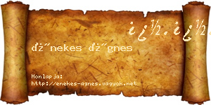 Énekes Ágnes névjegykártya